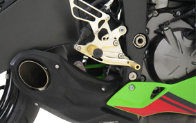 KAWASAKI NINJA ZX-6R KRT 2020 ZX636G