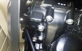 KAWASAKI VERSYS A 2025 LE650H