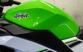 KAWASAKI NINJA 250 EX250L