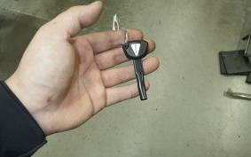 KAWASAKI W800 CAFE 2020 EJ800B