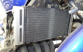 HONDA HORNET 250 MC31