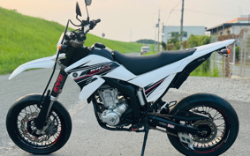 YAMAHA WR250X DG15J
