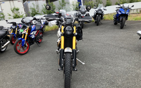 TRIUMPH SCRAMBLER 1200 XE 2024 DAD82H