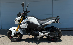 HONDA GROM JC75