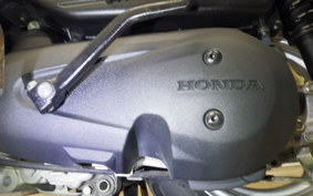 HONDA BENLY 50 2021 AA03