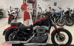 HARLEY HARLEY XL1200N 2010 CZ3