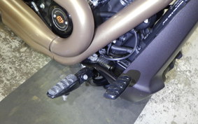 HARLEY FXDRS1870 2020