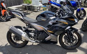 KAWASAKI NINJA 400 2022 EX400G