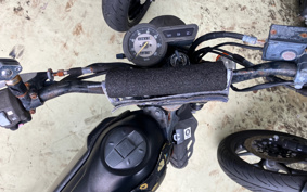 YAMAHA TORITSU CAR DG10J