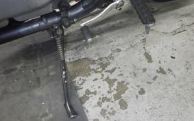 KAWASAKI ZEPHYR 750 2025 ZR750C