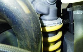 TRIUMPH DAYTONA 675 2009