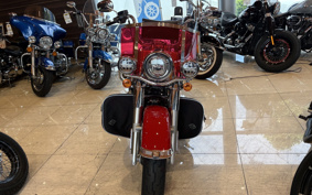 HARLEY FLI 2024 BCK