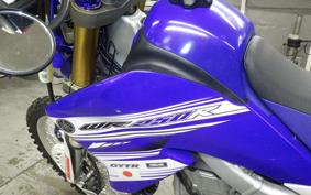 YAMAHA WR250R 2008 DG15J