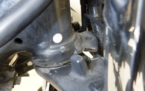 SUZUKI GIXXER 150 2008 ED13N