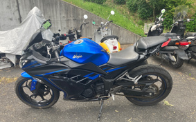 KAWASAKI NINJA 250 EX250L
