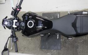 TRIUMPH TRIDENT 800 2026
