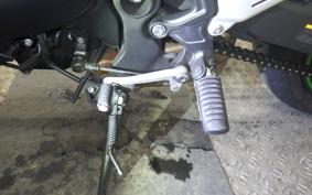 KAWASAKI Z900RS CAFE 2024 ZR900K