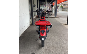 HONDA CT125 HUNTER CUB JA55