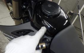 KAWASAKI KLX250 2014 LX250E