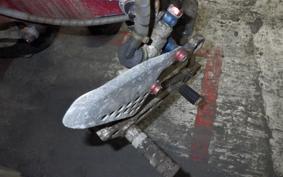 SUZUKI GOOSE 350 NK42A