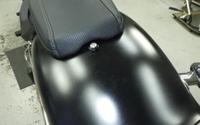 HARLEY FXBR1920 2025