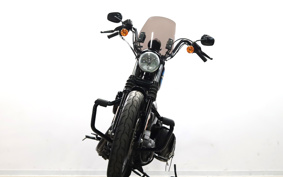 HARLEY XL1200NS 2019 LP3