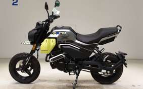 OTHER +CF PAPIO XO-2 2019