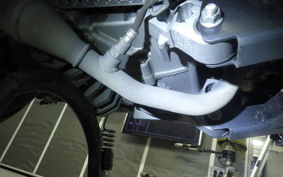 YAMAHA CYGNUSｸﾞﾘﾌｧｽ 2021 SEJ4J