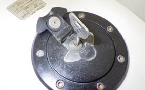 KAWASAKI ZXR250 Gen.2 ZX250C