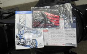 HONDA REBEL 1100 2024 SC83