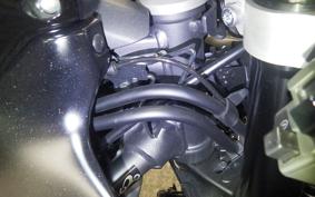 YAMAHA YZF-R7 2024 RM39J