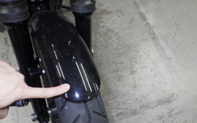 HARLEY XL1200NS 2019