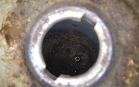 HONDA LITTLE CUB 2018 C50