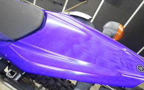 YAMAHA WR250R 2022 DG15J