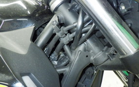 KAWASAKI Z250 Gen.2 1999 EX250P