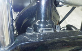 HARLEY XL1200N 2012