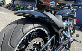 HARLEY  HARLEY FXBRS 2019 YHK