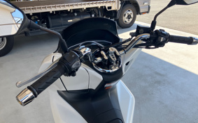 HONDA PCX 125 JF81