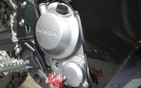 HONDA CRF250 RALLY 2022 MD44