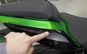 KAWASAKI Z250 Gen.2 2000 EX250Y