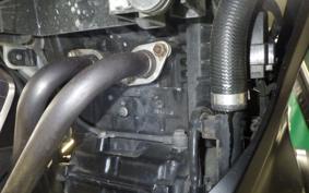 KAWASAKI Z250 2025 ER250C