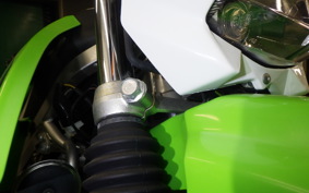 KAWASAKI KLX125 2024 LX125C