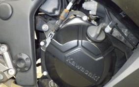 KAWASAKI NINJA 250 2019 EX250L