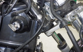 YAMAHA DRAGSTAR 250 2009 VG05J