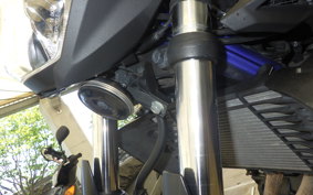 YAMAHA MT-25 RG10J