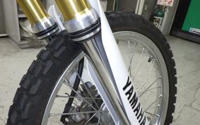 YAMAHA WR250R 2022 DG15J
