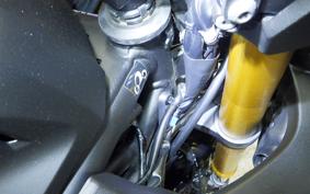 YAMAHA YZF R-3 2019 RH13J