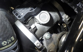 HUSQVARNA SVARTPILEN 401 2019