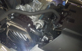 HONDA DUNK 2004 AF78