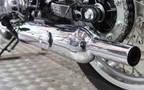 KAWASAKI W800 2022 EJ800E